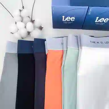Lee 3