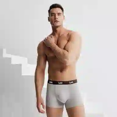 Lee 1