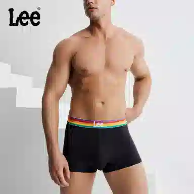 Lee logo 1