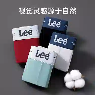 Lee 5
