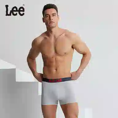 Lee 3