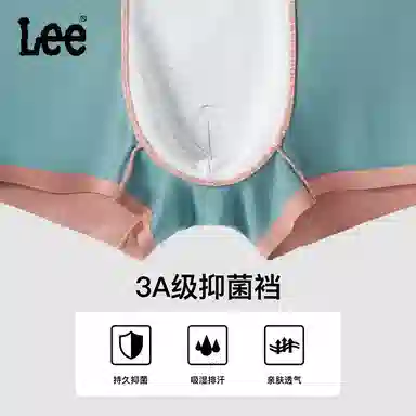 Lee 3