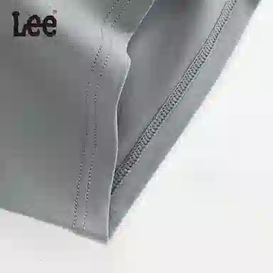 Lee 4