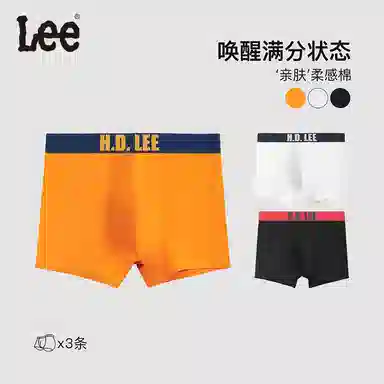 Lee 3