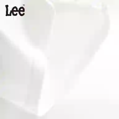 Lee 5