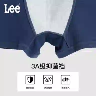 Lee 4.0 5