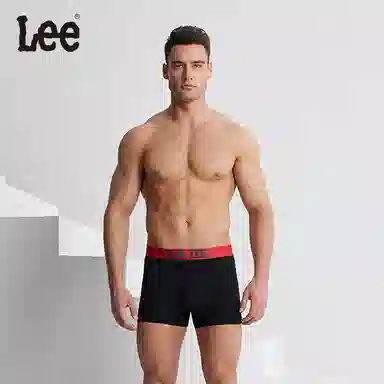 Lee 3