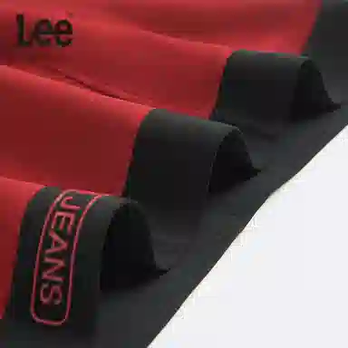 Lee 3