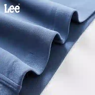 Lee 5