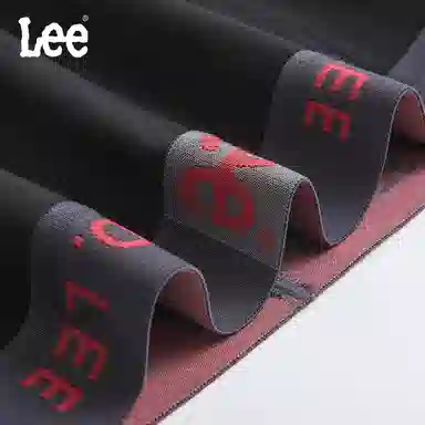 Lee 3.0 10Alogo 3