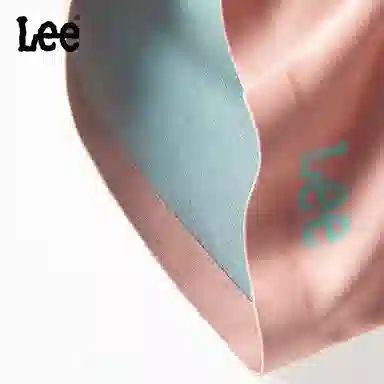 Lee 4