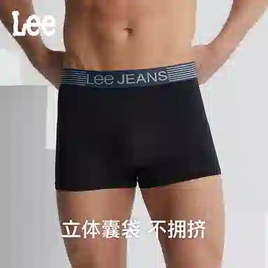 Lee 5