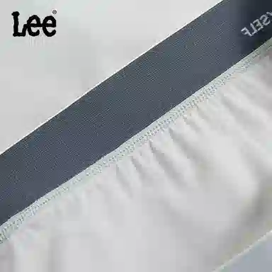 Lee 3