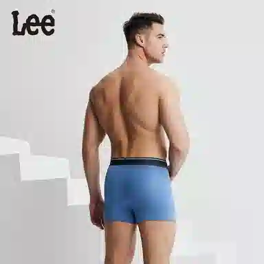 Lee 4.0 5