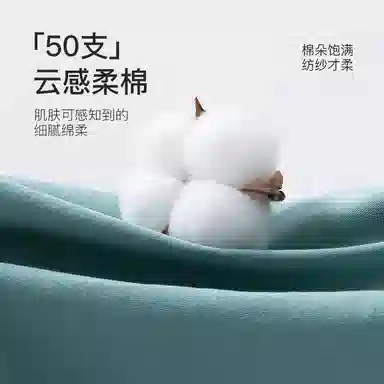 Lee 5