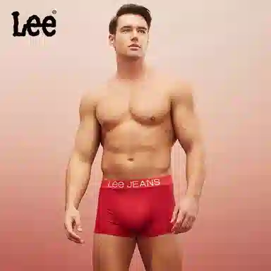 Lee 3