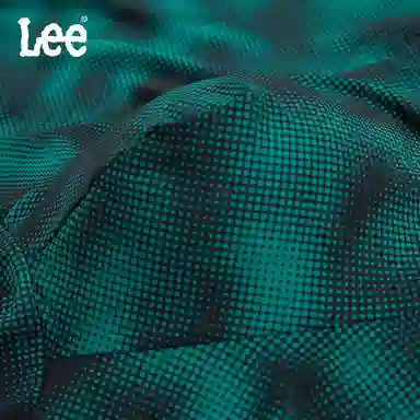 Lee 1