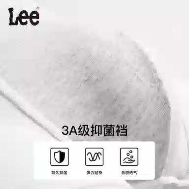 Lee 3