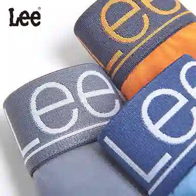 Lee 4