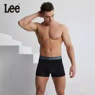 Lee 5
