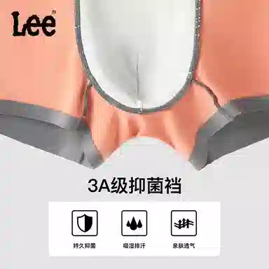 Lee 3