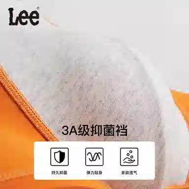 Lee 3