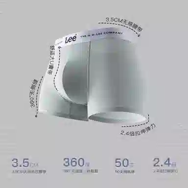 Lee 5