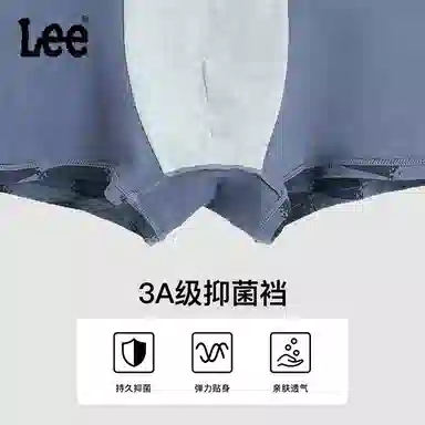 Lee 5