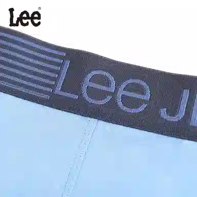 Lee 5