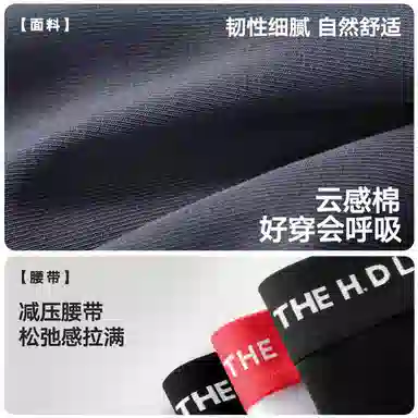 Lee 5