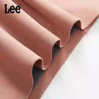 Lee 3