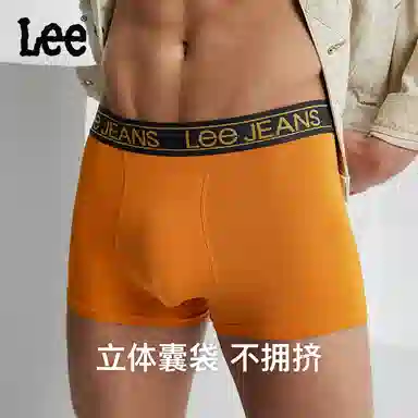 Lee 3