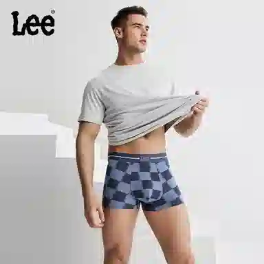 Lee 1