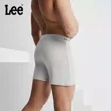 Lee 3