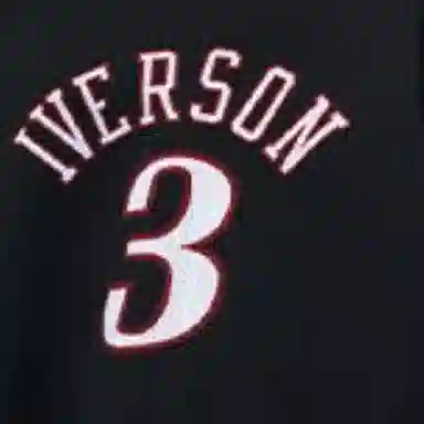 Mitchell Ness SW 76 3