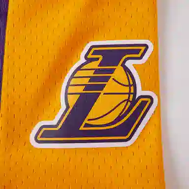 Mitchell Ness SW 09-10