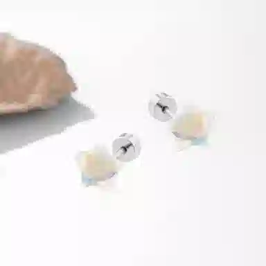 SUYG Titanium Stud Earrings