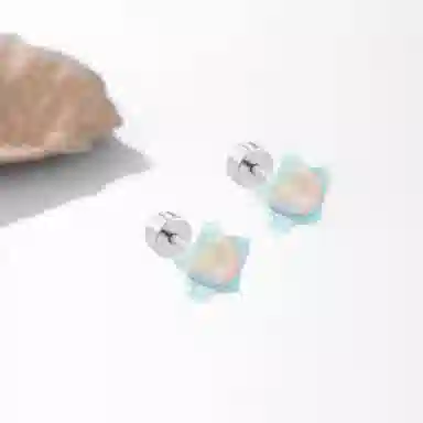 SUYG Titanium Stud Earrings