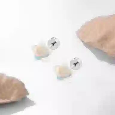 SUYG Titanium Stud Earrings