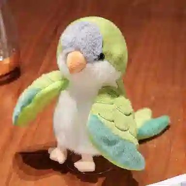 20cm