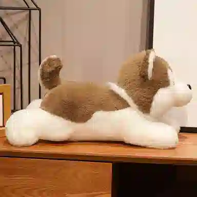 30cm40cm50cm70cm
