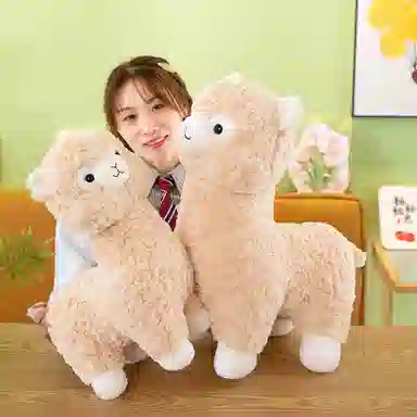 35cm45cm55cm