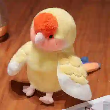 20cm
