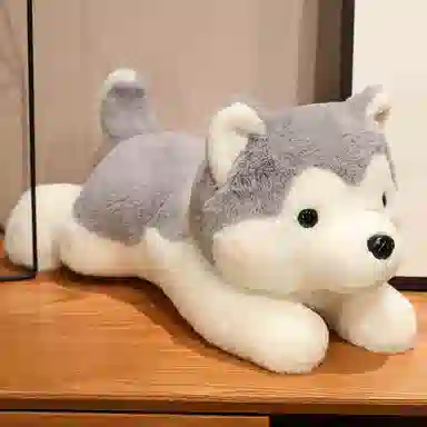 30cm40cm50cm70cm