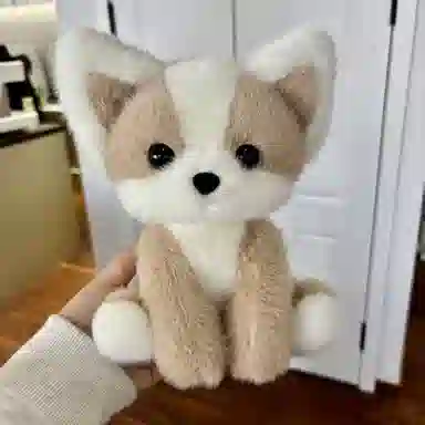 22cm33cm