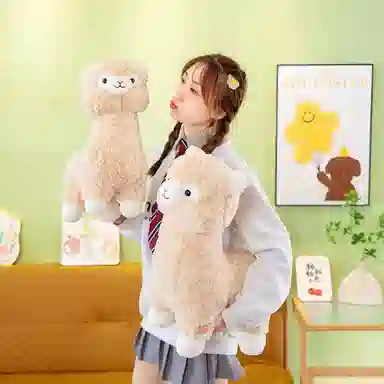 35cm45cm55cm