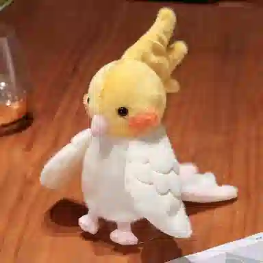 20cm