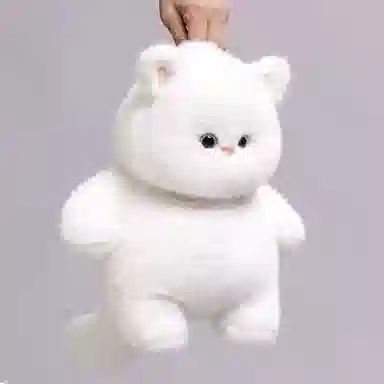 25cm