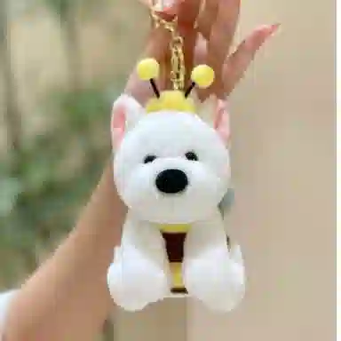 12cm