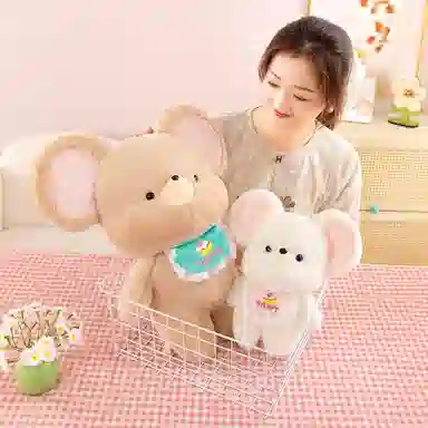30cm50cm